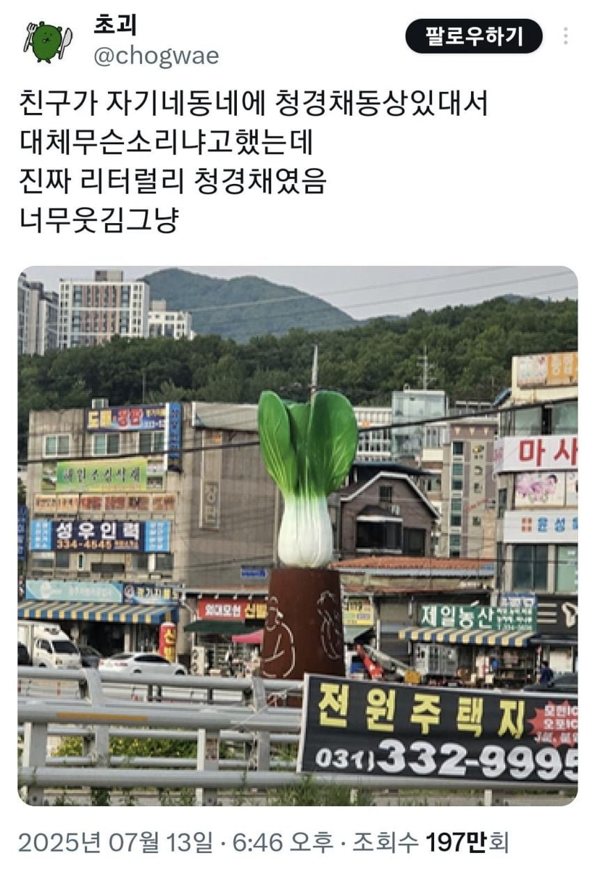 20250717110642_cL96neOo5M.jpeg?v=7