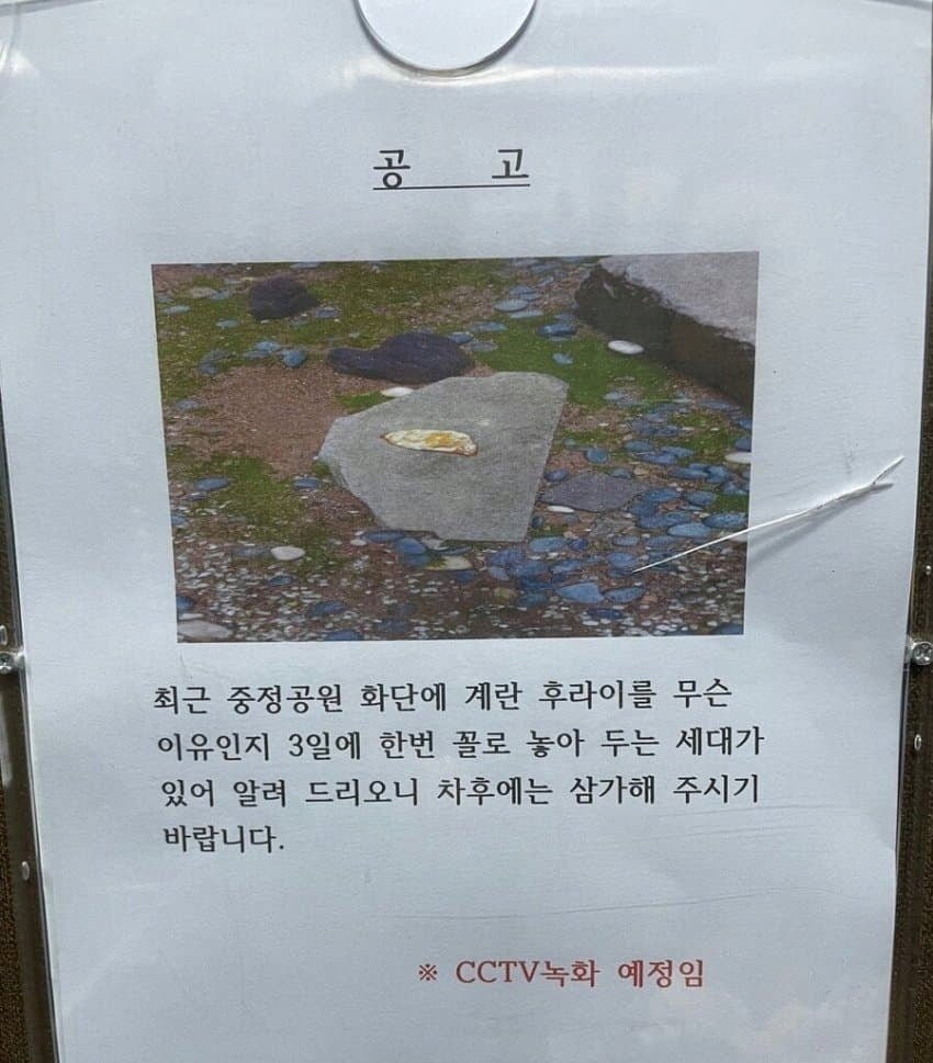 20250717132446_SLkGddDQ05.png?v=7