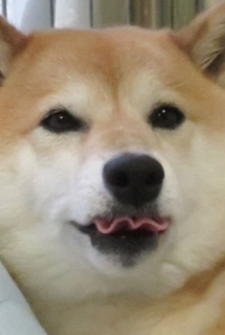 20250717152456_KZ1tIsMsXV.jpeg?v=7