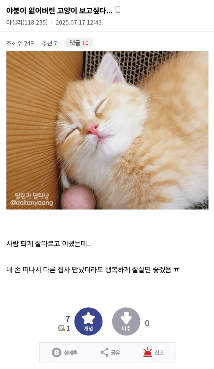 20250717162429_w4iG1bUd7J.png?v=7
