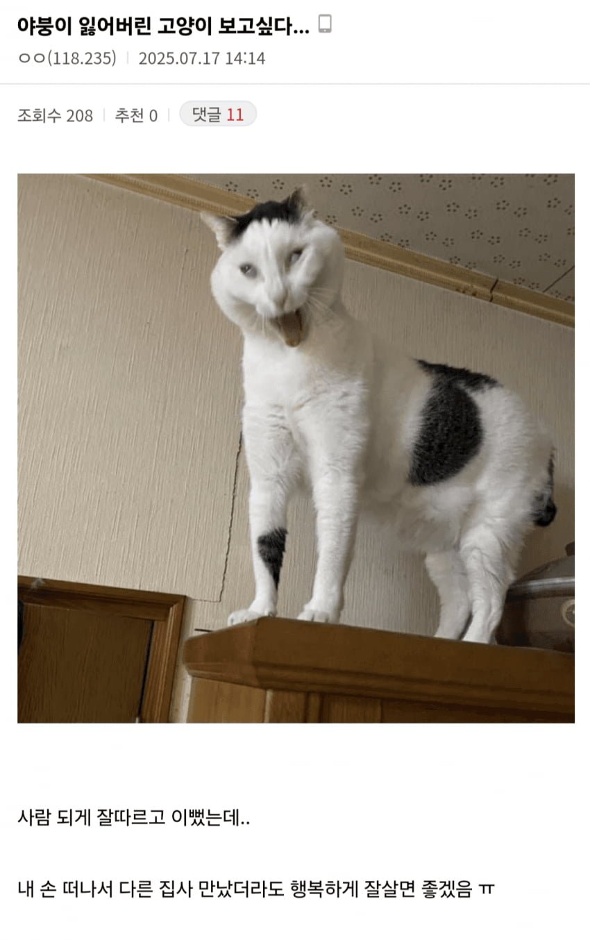 20250717162431_fsGZ0Kwmky.png?v=7