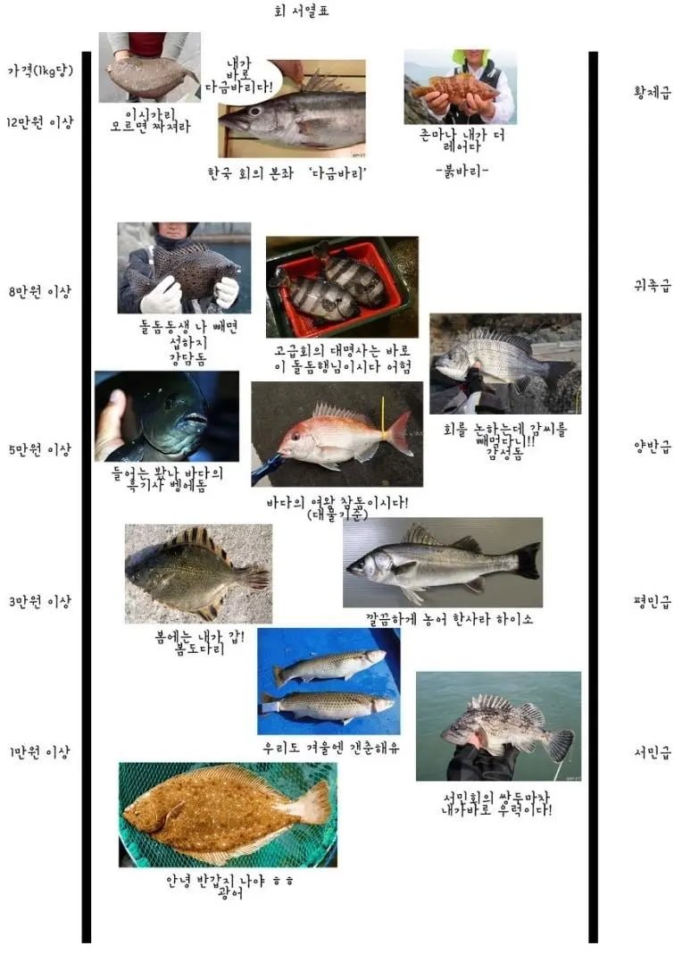 20250717204855_8bnl4aVb89.png?v=7