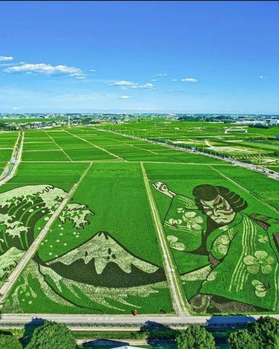 20250720070438_SPgQ1OTnRT.png?v=7