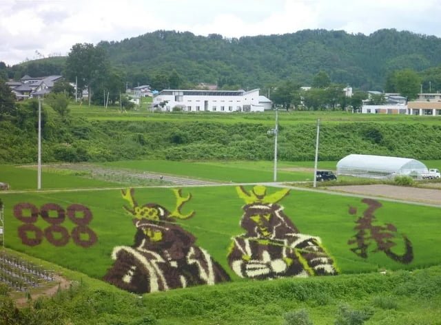 20250720070441_suN7suKqor.jpg?v=7