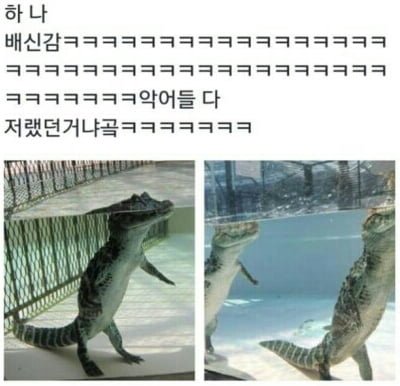 20250721173431_yhuyqPDoWw.png?v=7