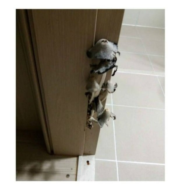 20250724074218_zoSPWEj02R.png?v=7