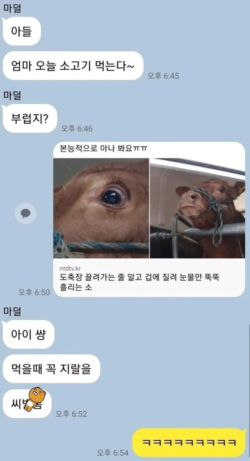 20250724140241_0uBDcT8KWl.png?v=7