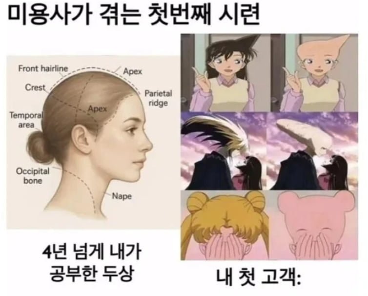 20250724160756_AB3YgtZeUS.png?v=7