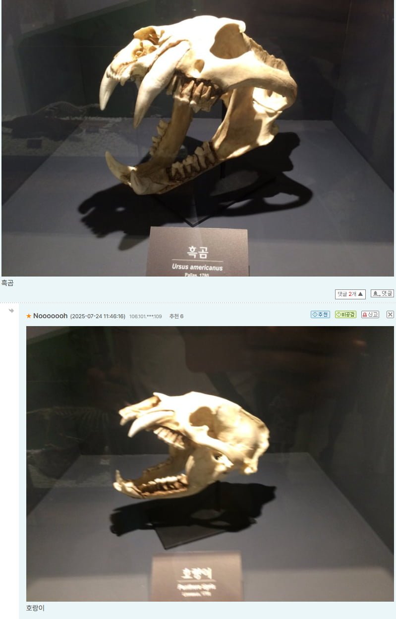 20250724205401_QUL7280hVE.png?v=7
