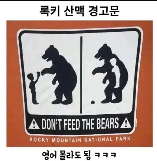 20250726180154_FT3fukwvUt.png?v=7