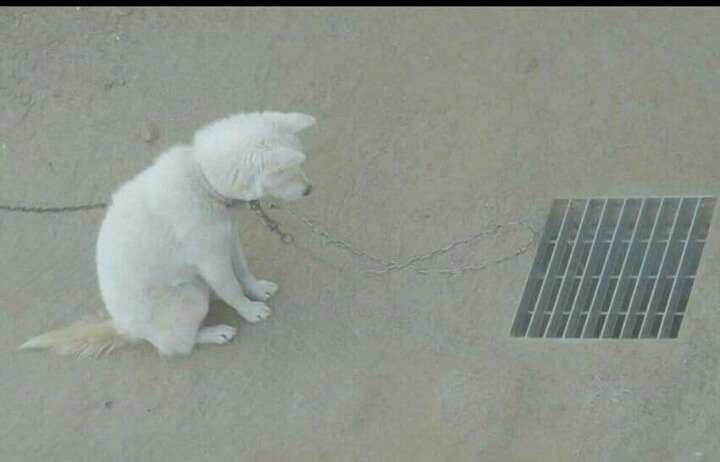 20250727121029_ivwO9AqfpM.jpeg?v=7