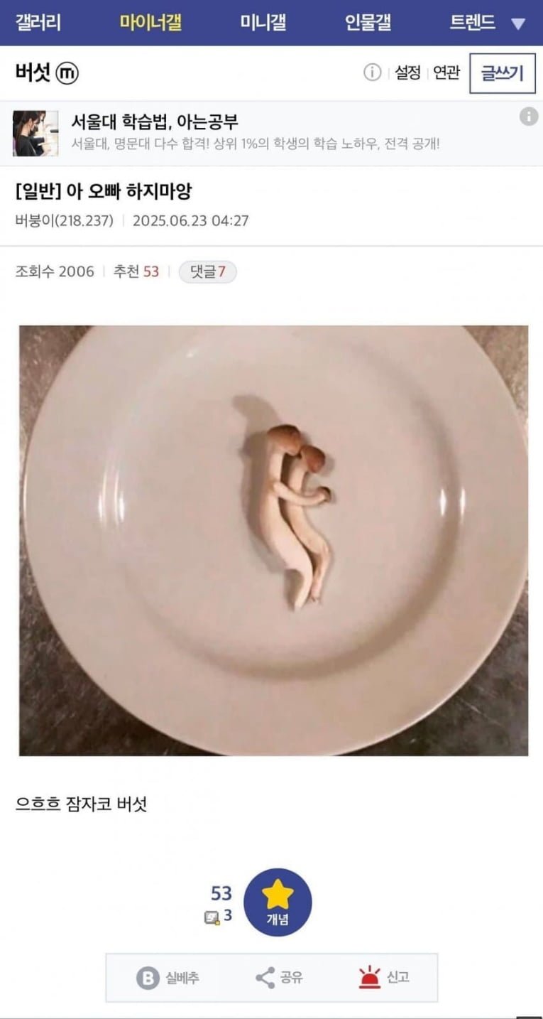 20250727163232_pNYR2MENiM.jpg?v=7