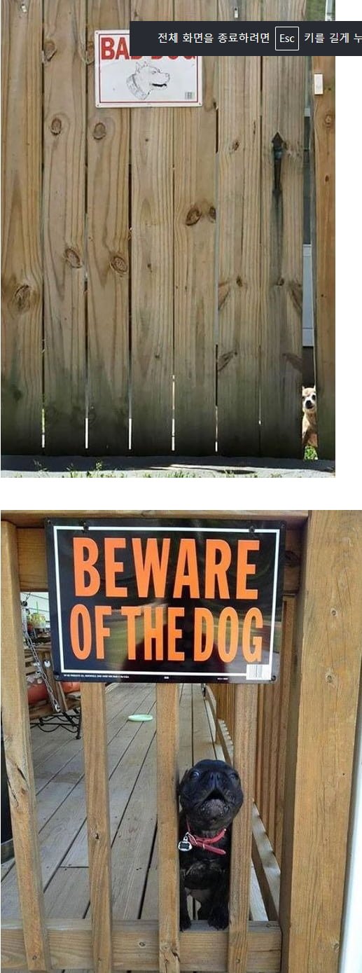 20250728014845_g01K9mZc85.png?v=7
