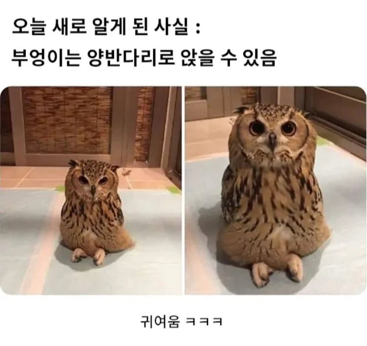 20250728100524_FQTnua1cp5.png?v=7