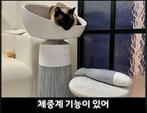 20250729203720_M0XKdYGS2e.png?v=7