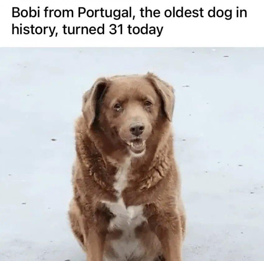 20250730141627_jog8RXW6fp.jpeg?v=7