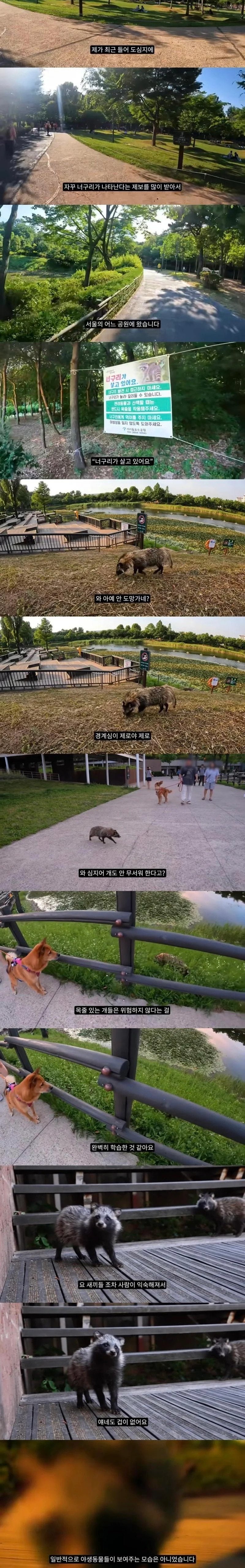 20250730225938_aiWHJgOoBu.jpg?v=7