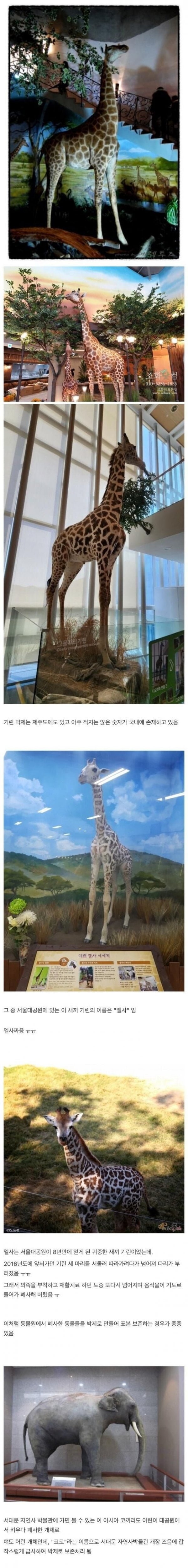 20250731064350_605BJjrBWD.jpeg?v=7
