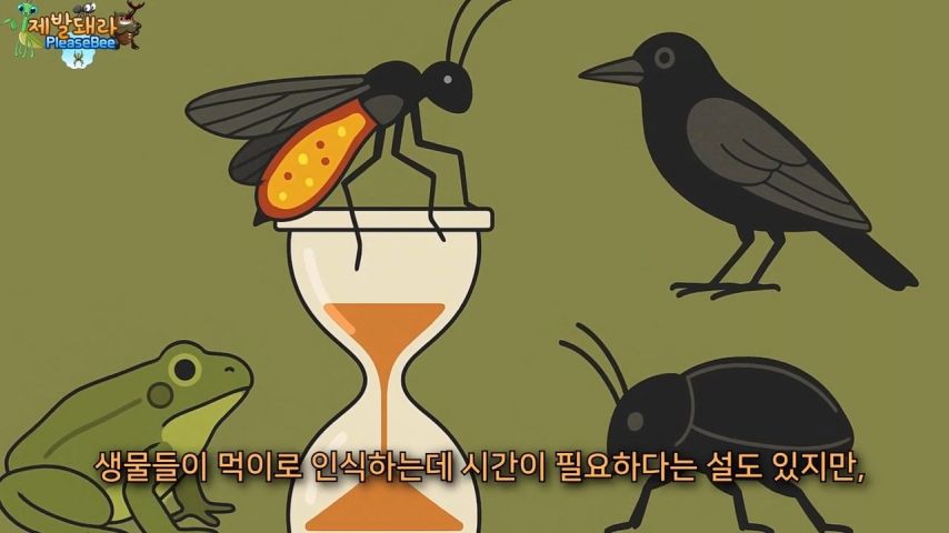 3718547318_2VaYG1yj_vgTrAXemZdEClJnh.jpg?v=7
