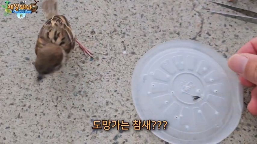 3718547318_Cy1LZ9qf_HJimoPXDWjraMxdE.jpg?v=7