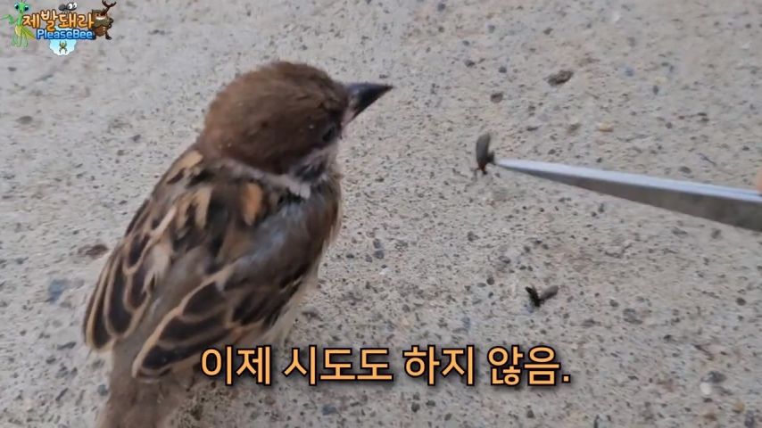 3718547318_YsTEyhi0_j5KfC2vDFxgAacXB.jpg?v=7
