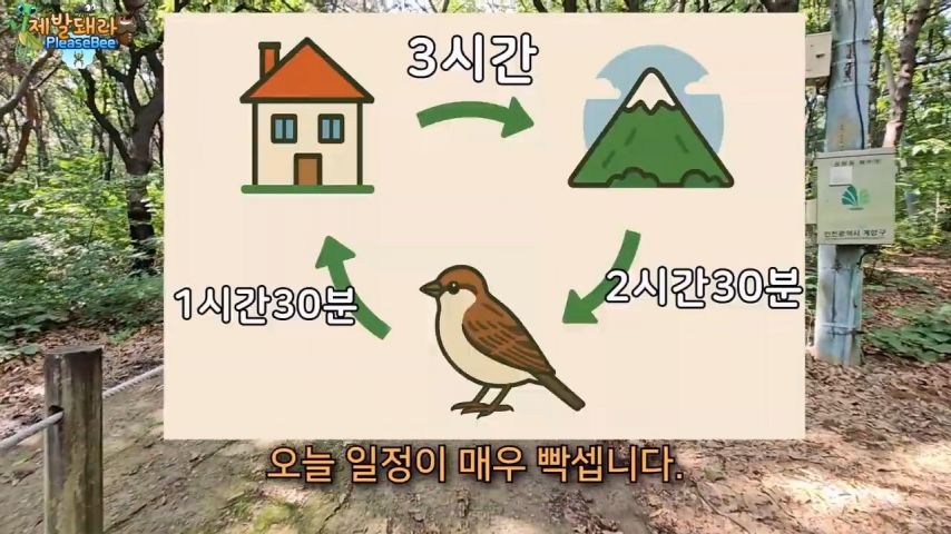 3718547318_k6gDliaU_2Zqr3uboGzAf5TLI.jpg?v=7