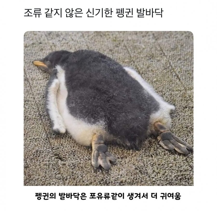 900w_20250703004448_LZbQkJFIEt.jpg?v=7
