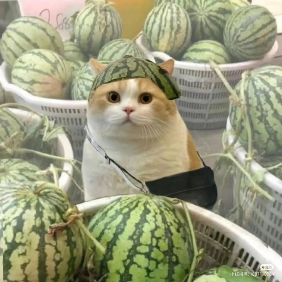 900w_20250703105943_QHrczWMuzu.jpg?v=7