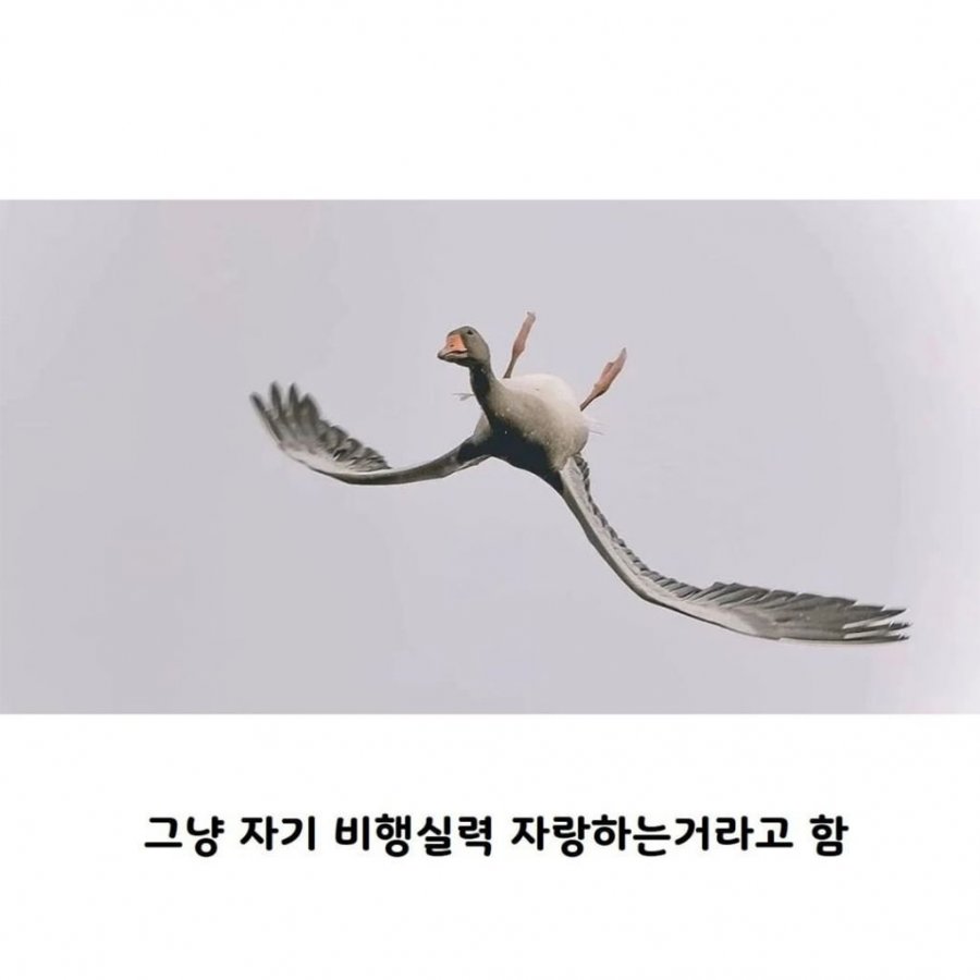 900w_20250703165218_ZaQux9dOAv.jpeg?v=7