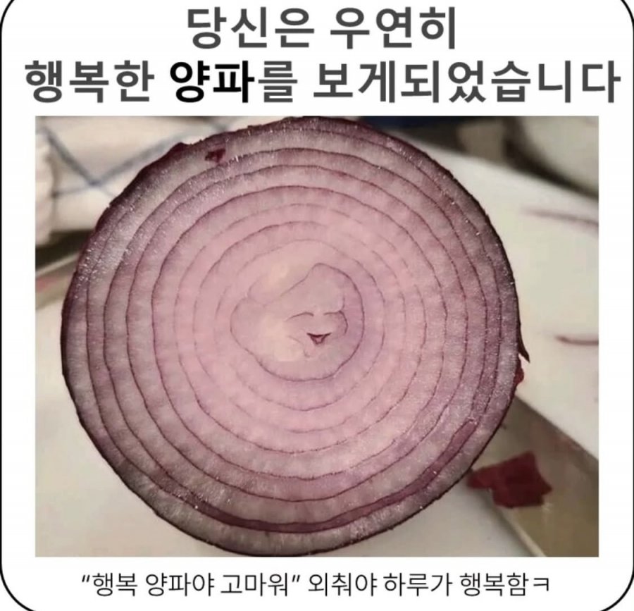 900w_20250703172950_KOu2qtc6QD.jpeg?v=7