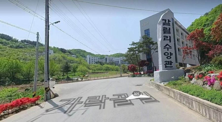 900w_20250705025926_nhiXuDOQwP.jpg?v=7