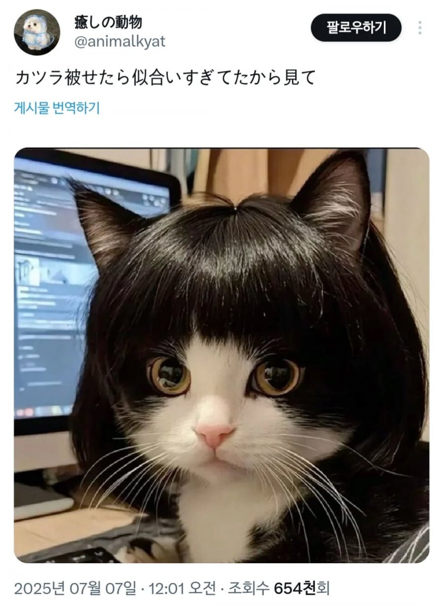 900w_20250707163718_XpgEYiko3I.png?v=7