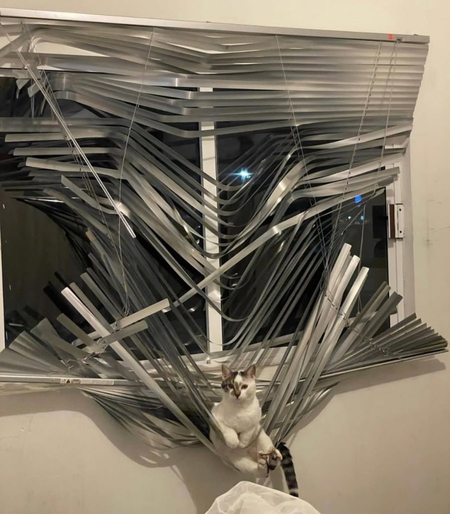 900w_20250708150836_JyvfKlex8Y.png?v=7