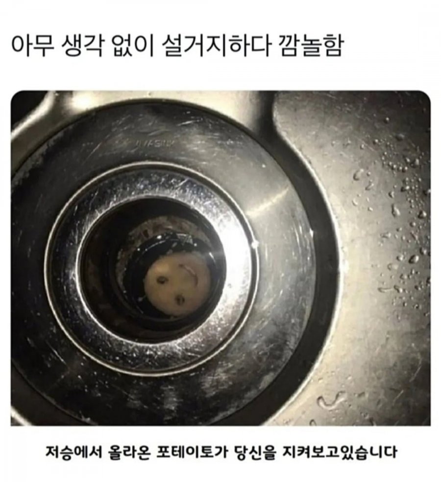 900w_20250709234301_YanyoFdmlw.jpg?v=7