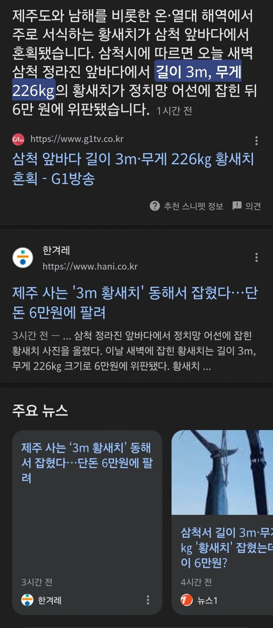 900w_20250710194238_CJpdpY5JNO.jpg?v=7