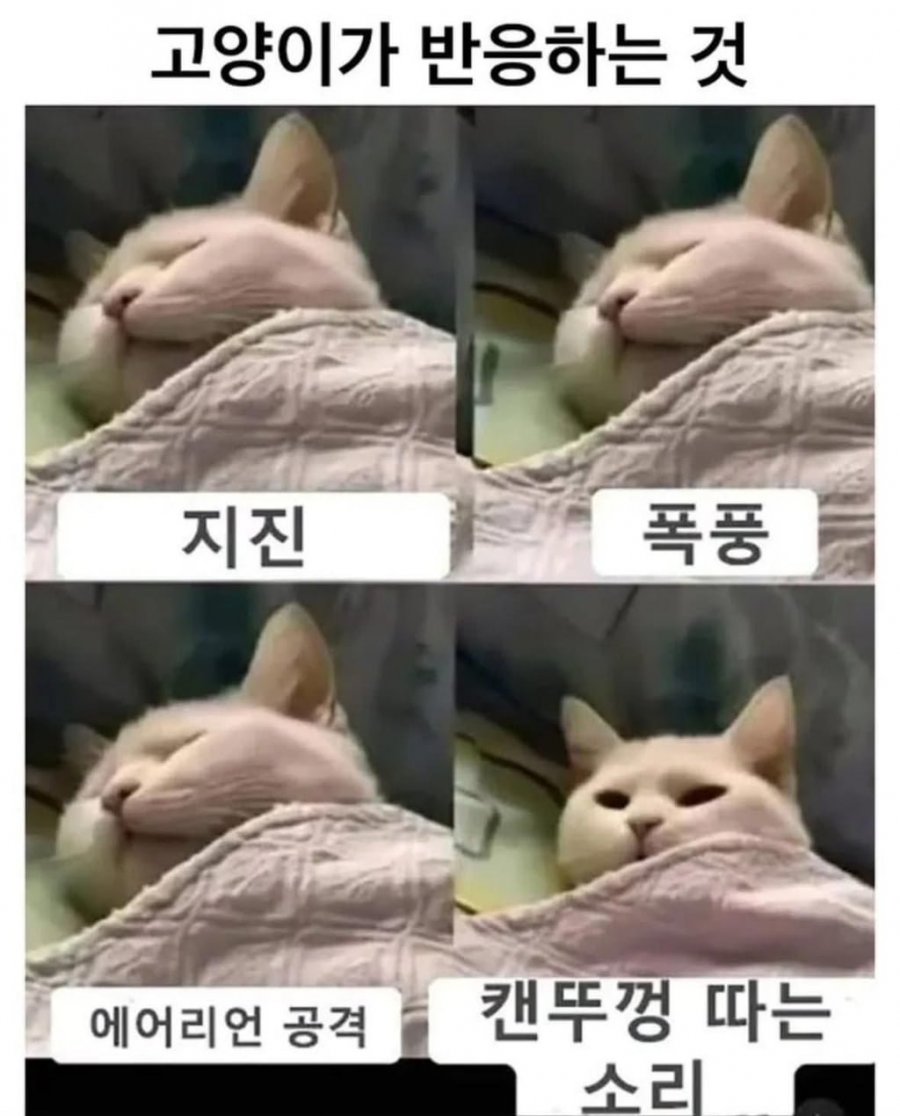 900w_20250711150707_OG2WUy2tFo.jpg?v=7