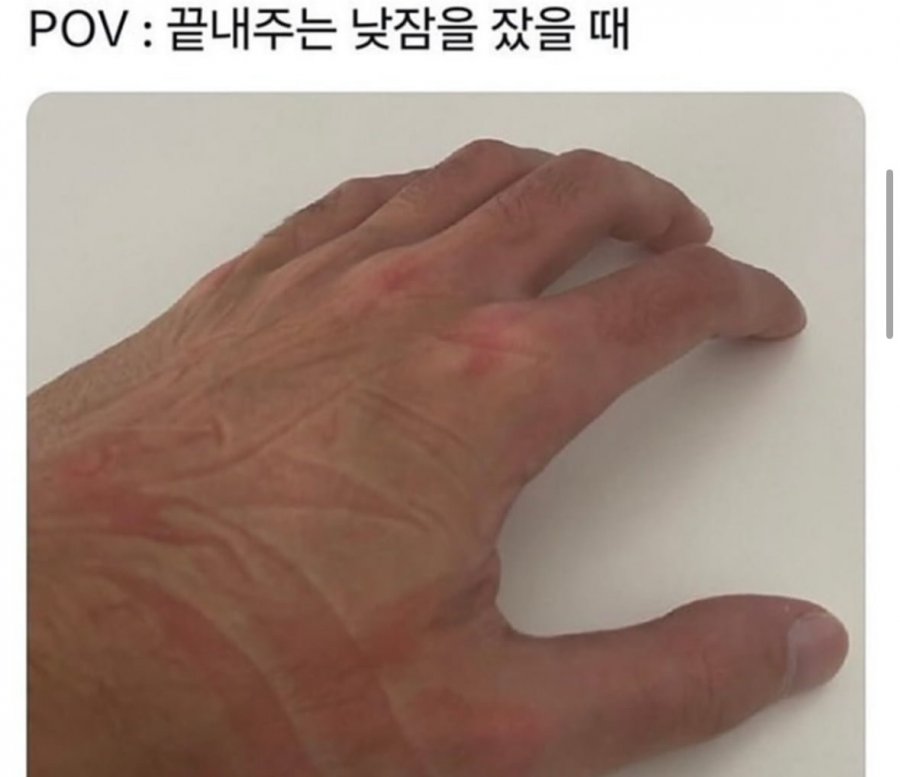 900w_20250714154237_8DlIfJ44aT.jpeg?v=7