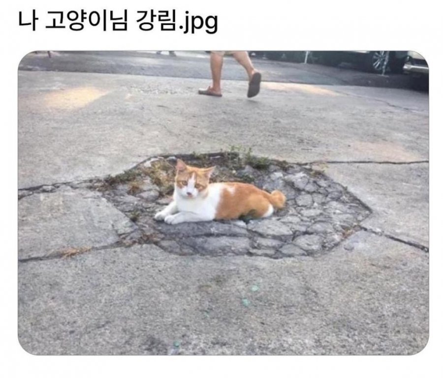 900w_20250714203915_4tETiJmmgG.jpeg?v=7