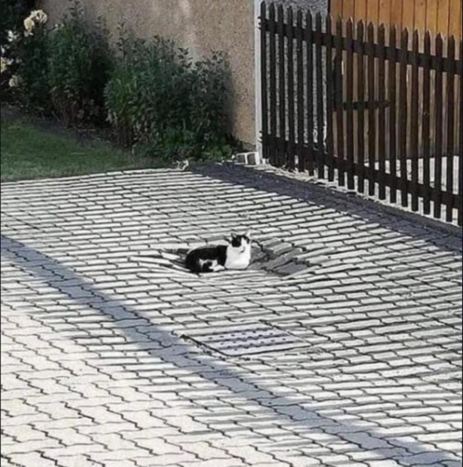 900w_20250714203917_ouHkUsVrL3.jpeg?v=7