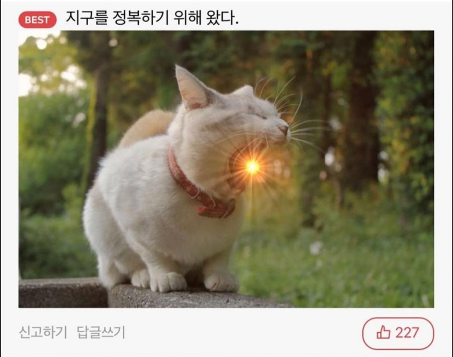 900w_20250714203919_DmBUSTB12i.jpeg?v=7