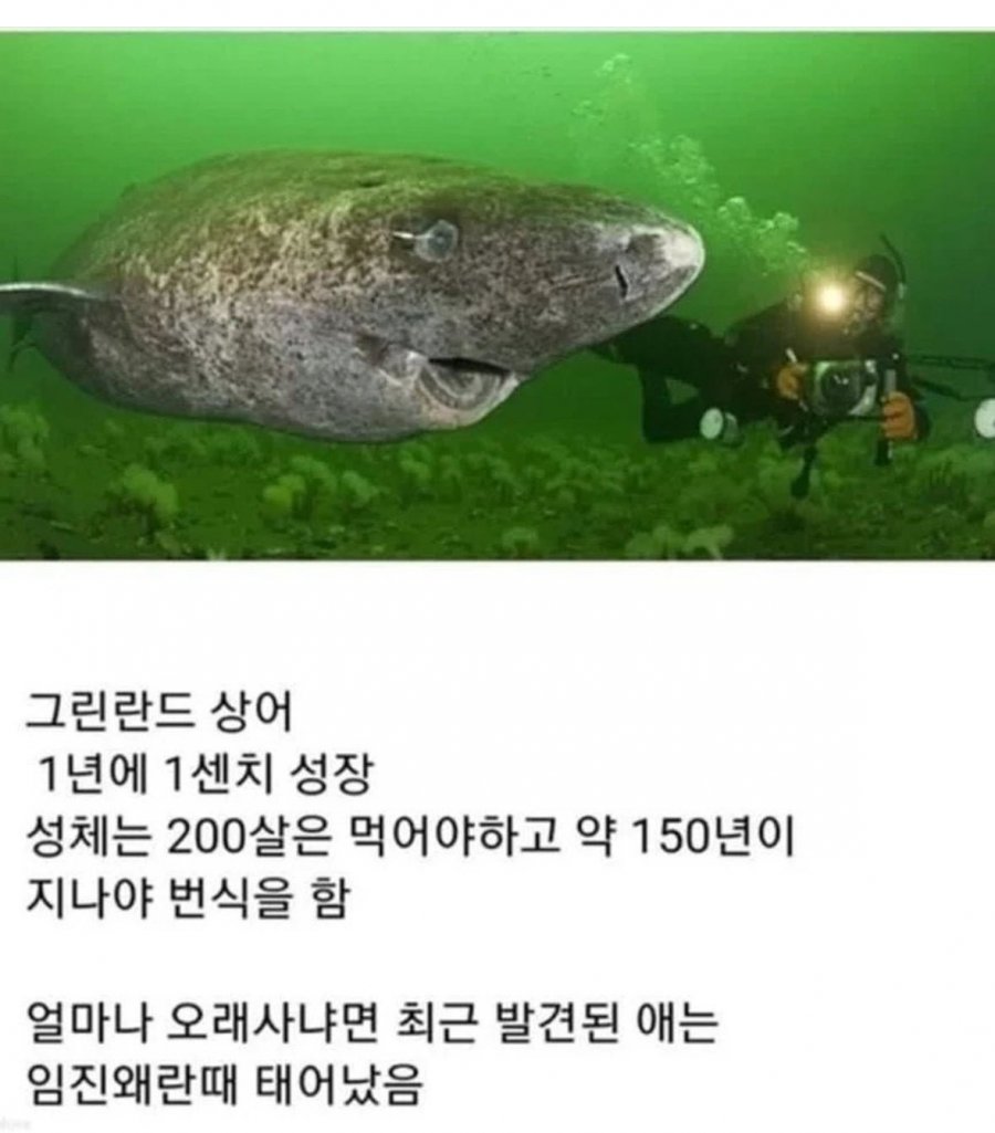 900w_20250715012014_GFOrMXlDjI.png?v=7