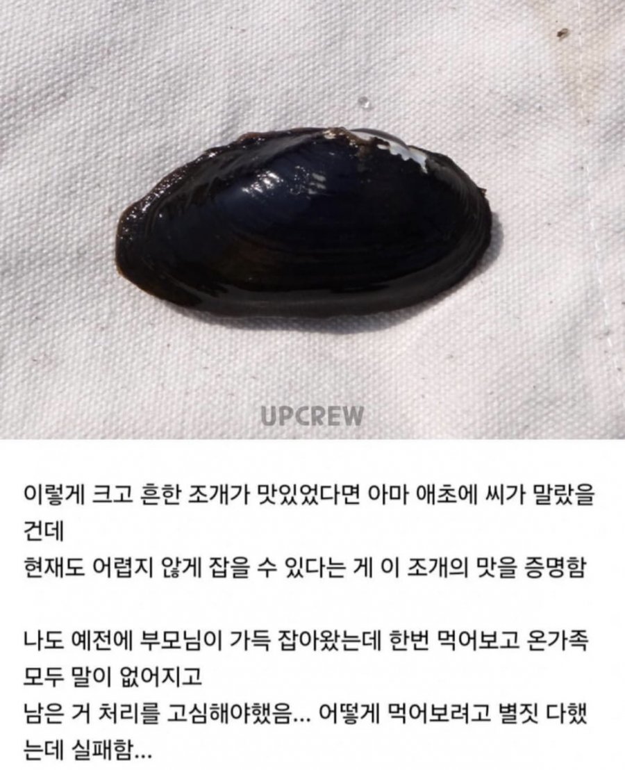 900w_20250715025720_TdNGaqHqOU.jpeg?v=7