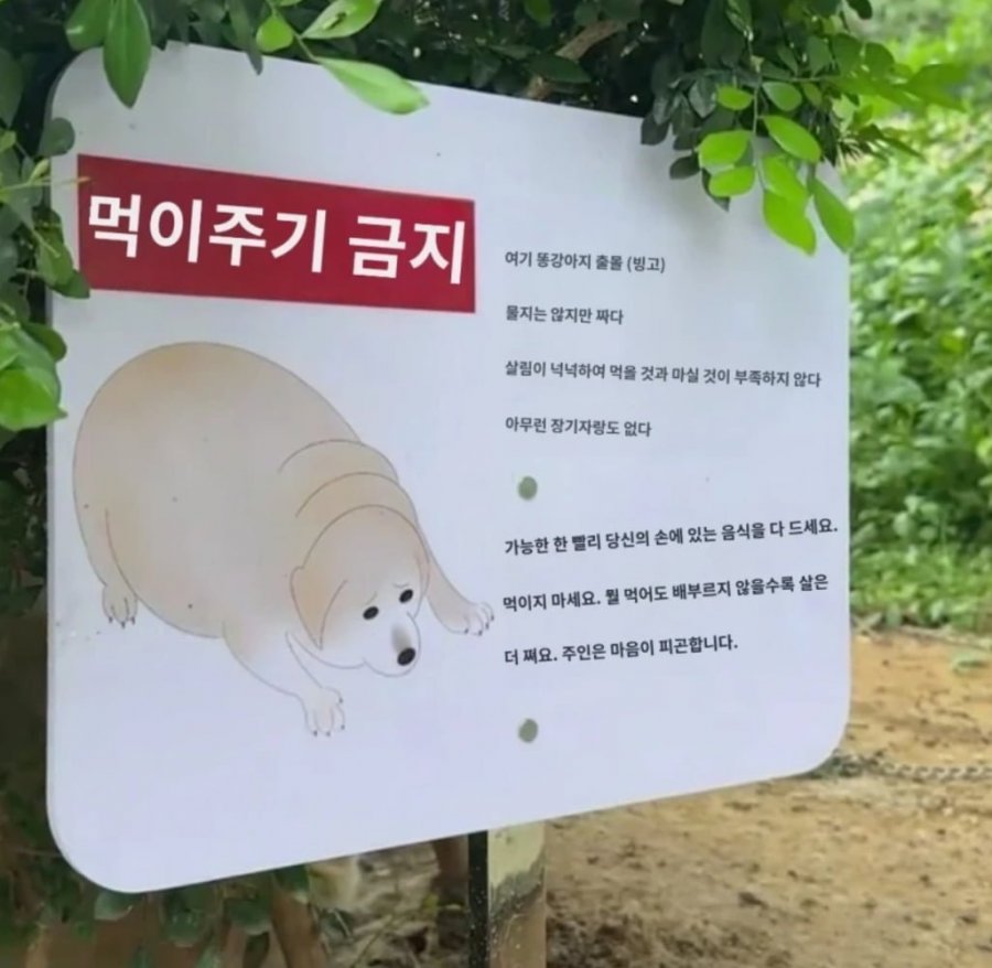 900w_20250715171948_O9imIf5KFK.png?v=7