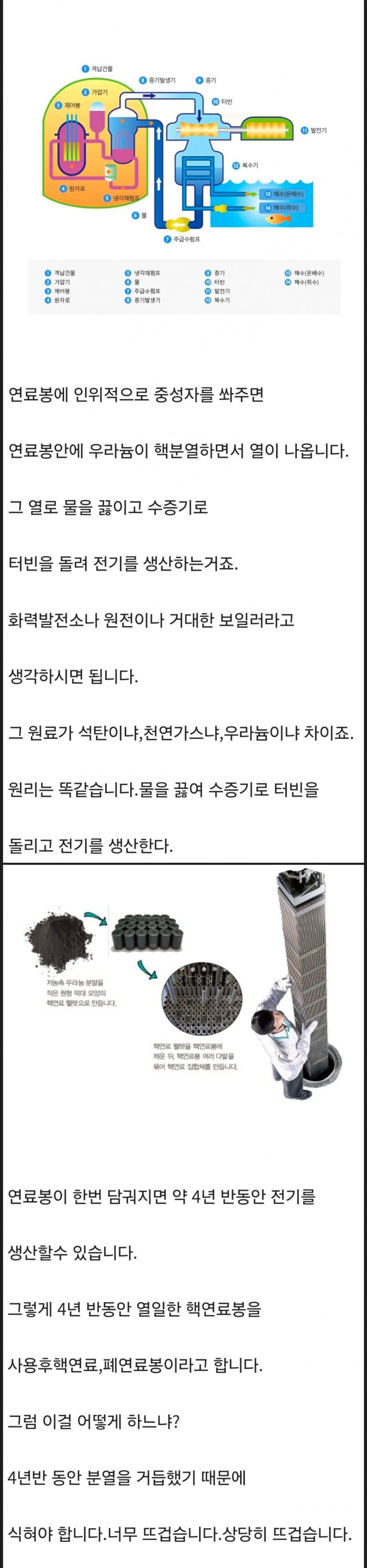 900w_20250716142157_iyxwZy2dXZ.jpeg?v=7