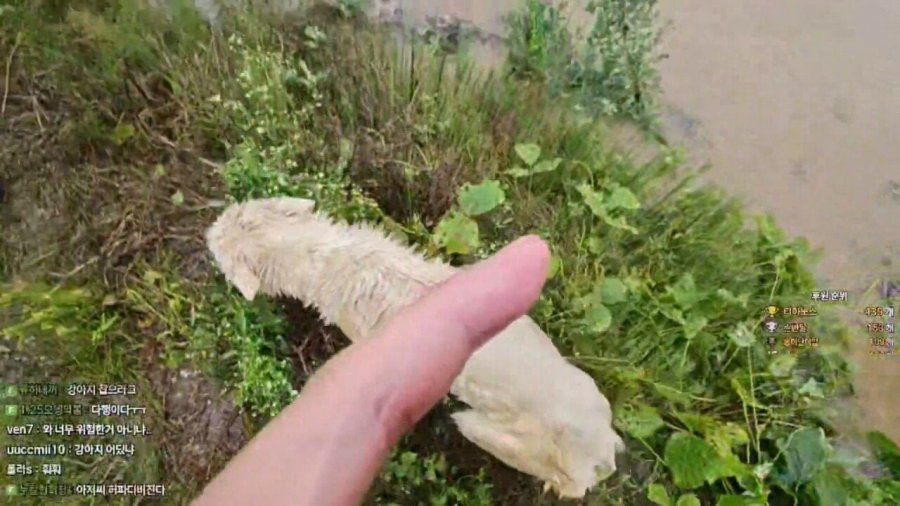 900w_20250717214245_veOtWQ7oQp.jpg?v=7