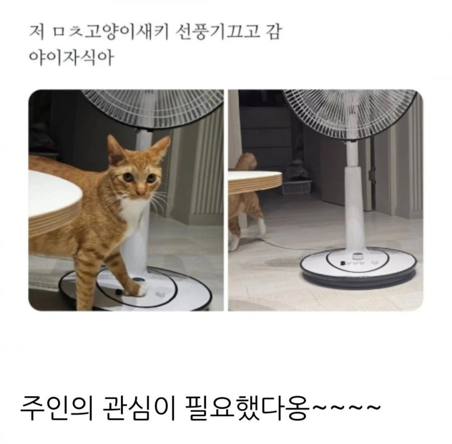 900w_20250718133152_ZXOL1uzzim.jpg?v=7