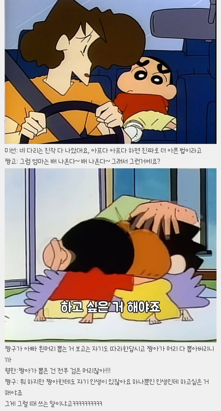 900w_20250720161917_oessT1JnZI.jpeg?v=7