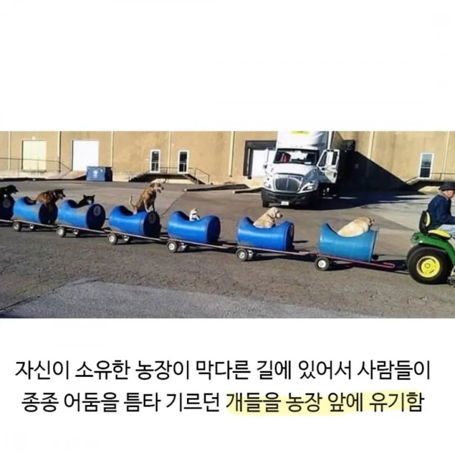 900w_20250721203103_1xSMvuyY6Q.jpeg?v=7