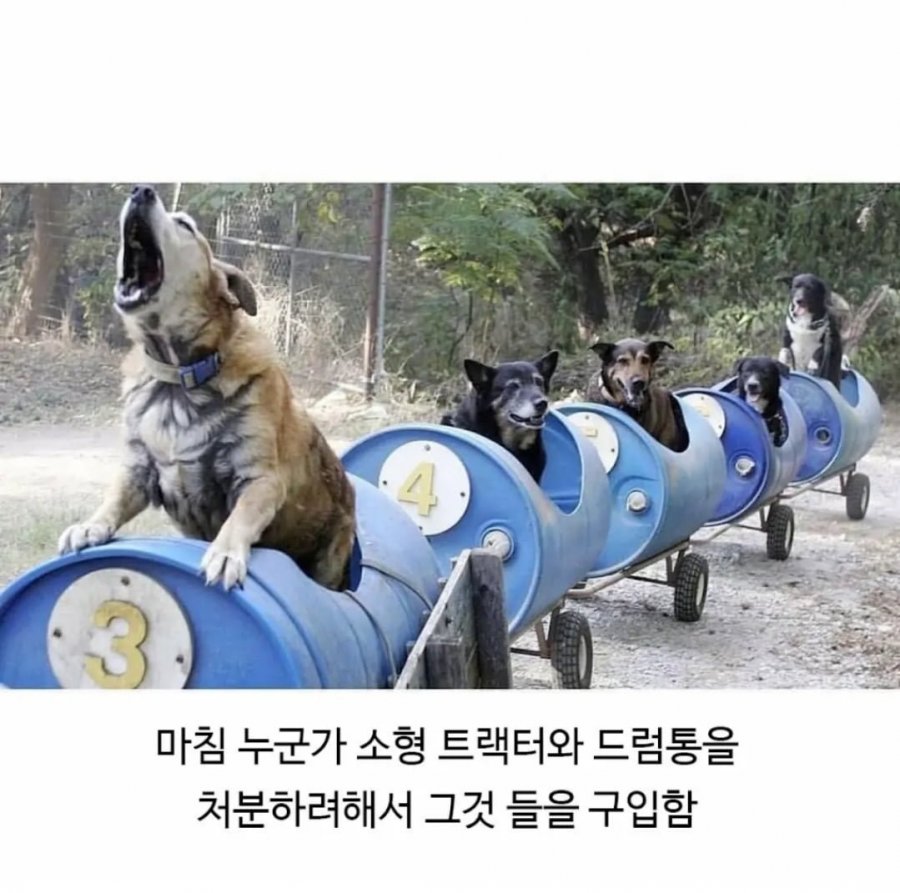 900w_20250721203106_9xWKJ6ug2d.jpeg?v=7