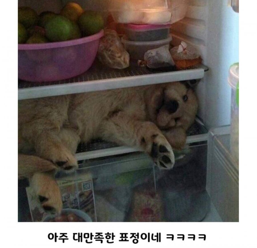 900w_20250722170015_alrK6Oyp5y.jpg?v=7
